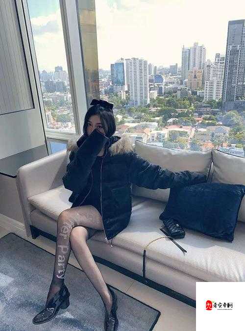 魅惑:91 丝袜美腿的极致诱惑