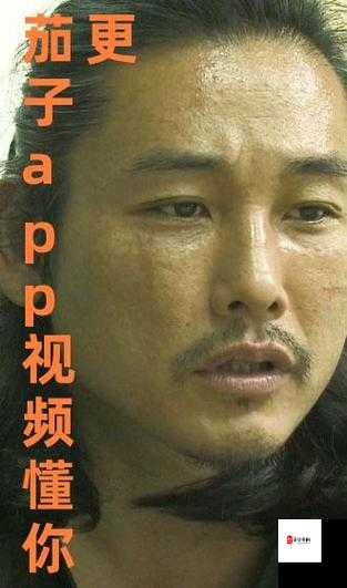 茄子视频app下载汅api免费在线看版:存在侵权及安全风险,请勿使用