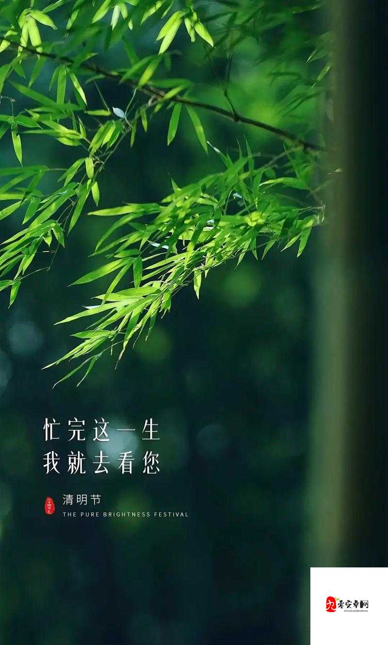 寒冷冬夜城中村相中刚回来的：一段不为人知的归程故事