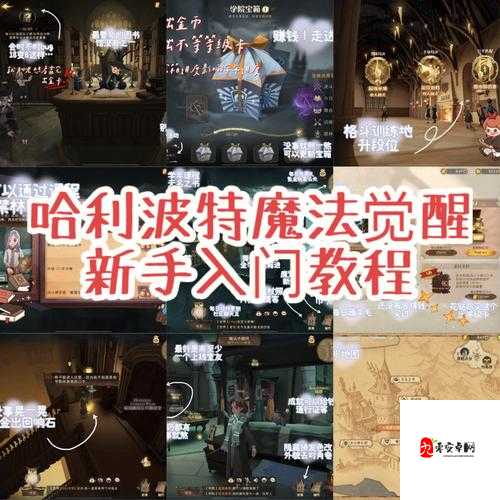 哈利波特魔法觉醒攒资源玩法,揭秘资源积累的秘密