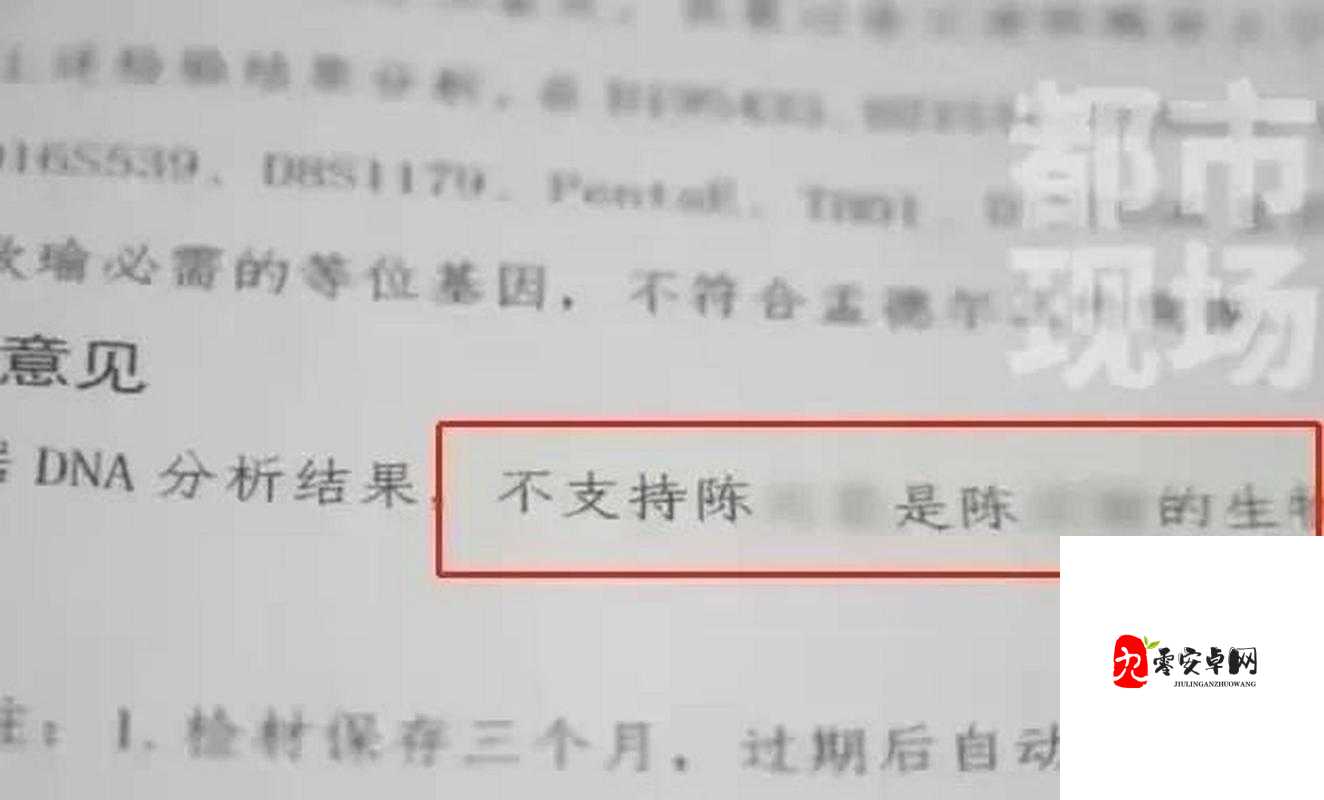 张警官吕总撞玻璃：这一事件背后的原因究竟是什么