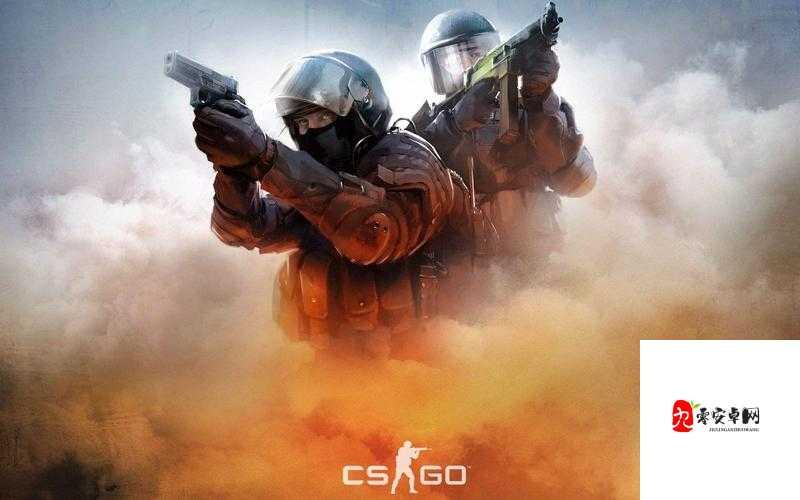 csgo 高清视频免费播放：海量精彩内容等你来看