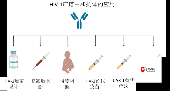 药效 h1v2：抗击艾滋病的新希望