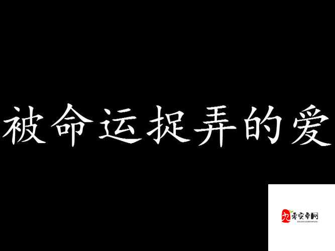 t 大校花的悲和泪最火的一句:为何命运如此捉弄人