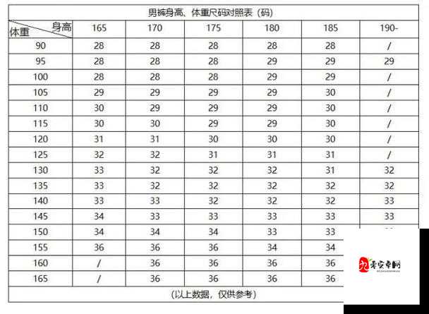 欧码的XL是亚洲码：探究不同尺码标准背后的奥秘