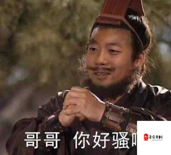 你好骚哦我好喜欢什么歌之深度剖析与探讨