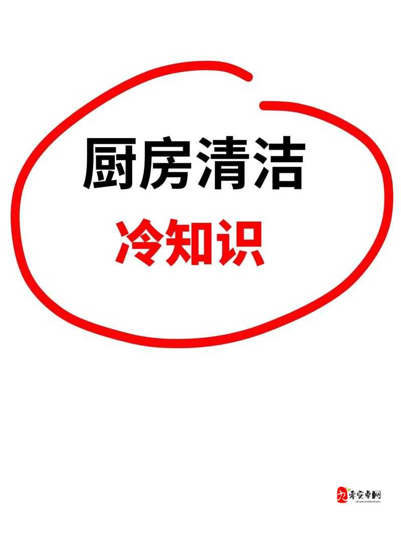 厨房到卧室的清洁小妙招:实用技巧让家居一尘不染
