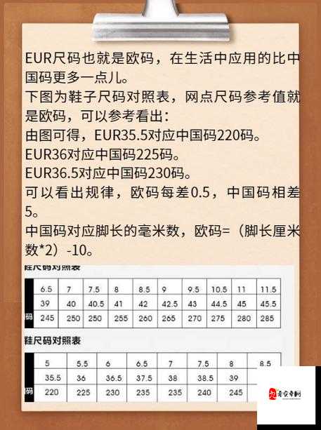 国产尺码 欧洲尺码 2024:探寻两者差异与适用场景分析