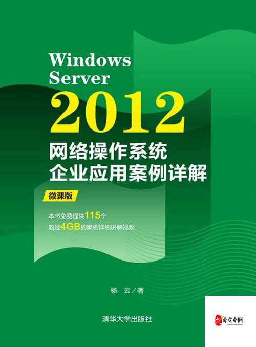 日本 Windows Server :探索其在企业级应用中的卓越性能