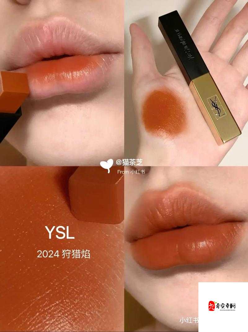 ysl 蜜桃棕调色:展现独特魅力与时尚风格的绝佳选择