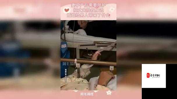 自己老婆给别的男人做陪护好吗:这背后的隐情与困惑