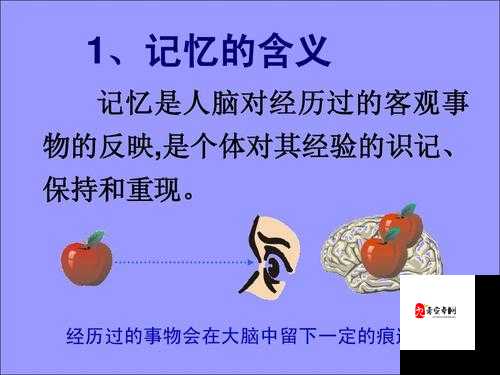 春潮里的变酥变软指的是什么-对其含义的深度剖析与探讨