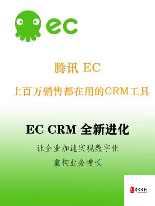 国外在线crm 系统：提升企业销售与客户管理效率的利器