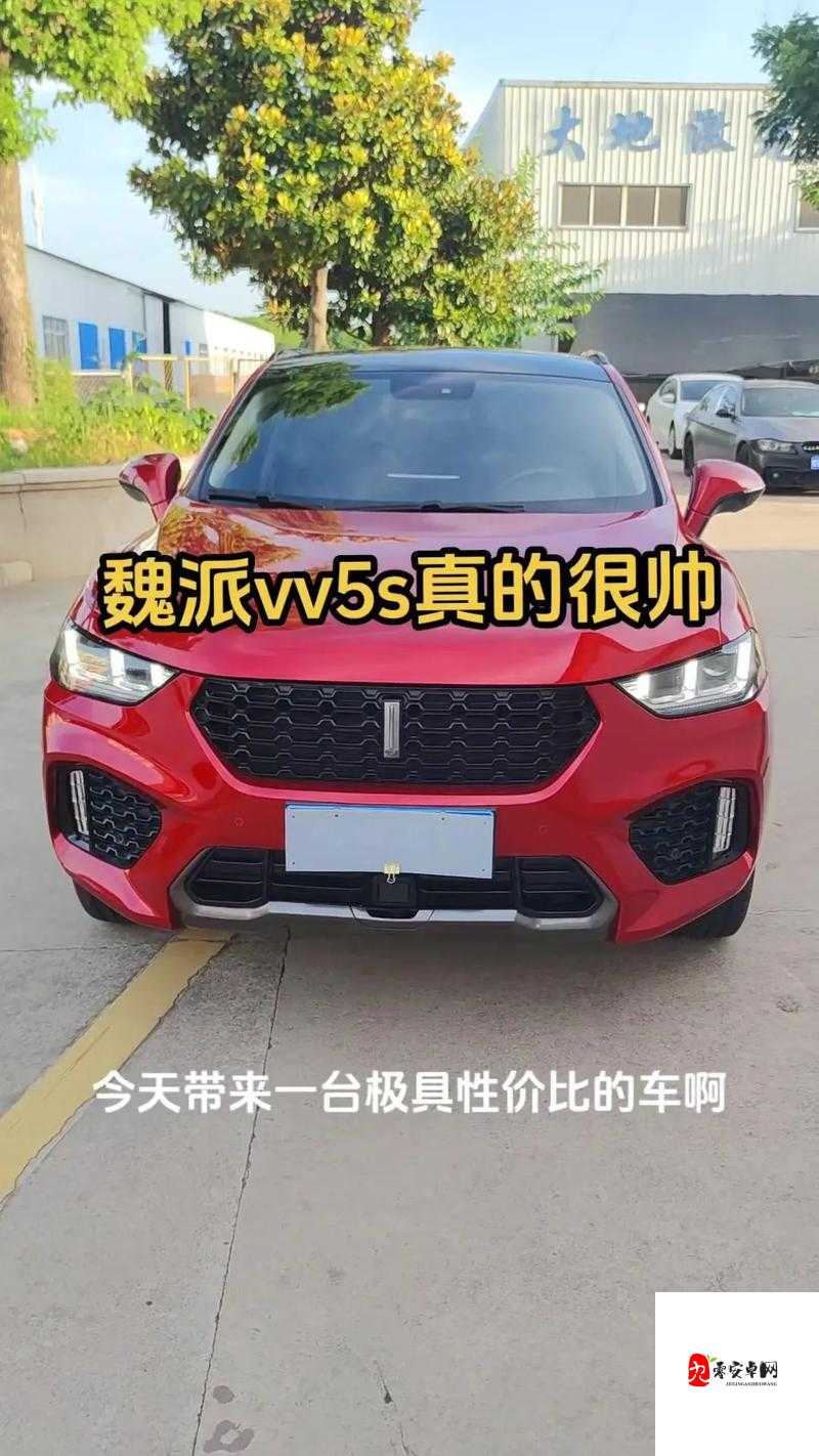 WEY VV5 国产的 SUV 视频:展现卓越性能与豪华品质之旅