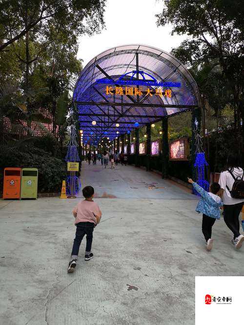 菠萝蜜观看路线仙踪林:一场奇幻的视觉之旅