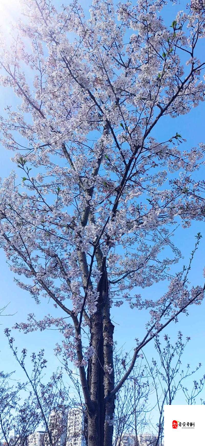 抖音热门话题,女孩子家,干净整洁才是最美的风景线