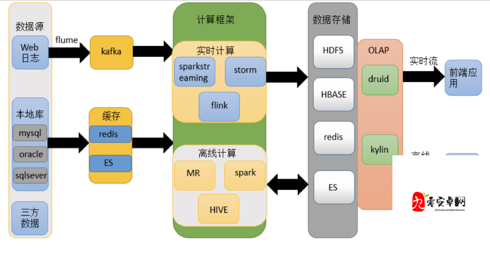 M0STHDCOECTION 性 ：对其本质及影响的深入探究与分析