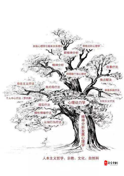 四叶草秘密研究所人口:关于其深入研究与全面分析