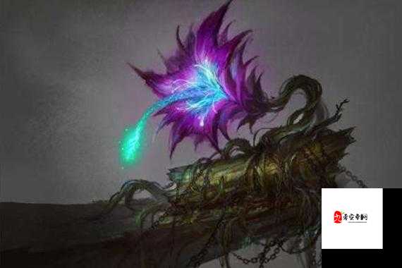 命运决战,揭秘恶果魔芋的神秘图鉴