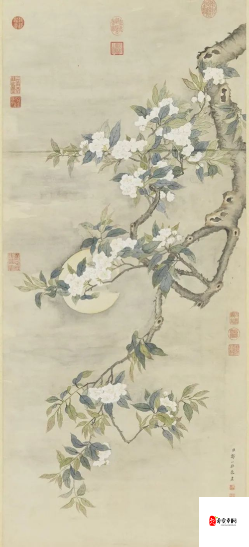 江湖悠悠,一册梨花图鉴,绘尽春日柔情