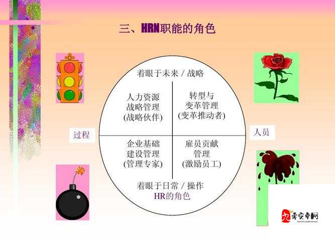 久久人力资源与普通版对比:优势尽显与不足凸显