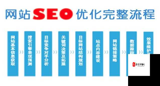 SEO 短视频网页入口网站推广:快速提升网站流量的有效途径