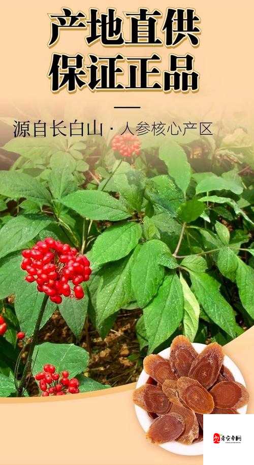 51 精产一二三产区的区别,你知道吗