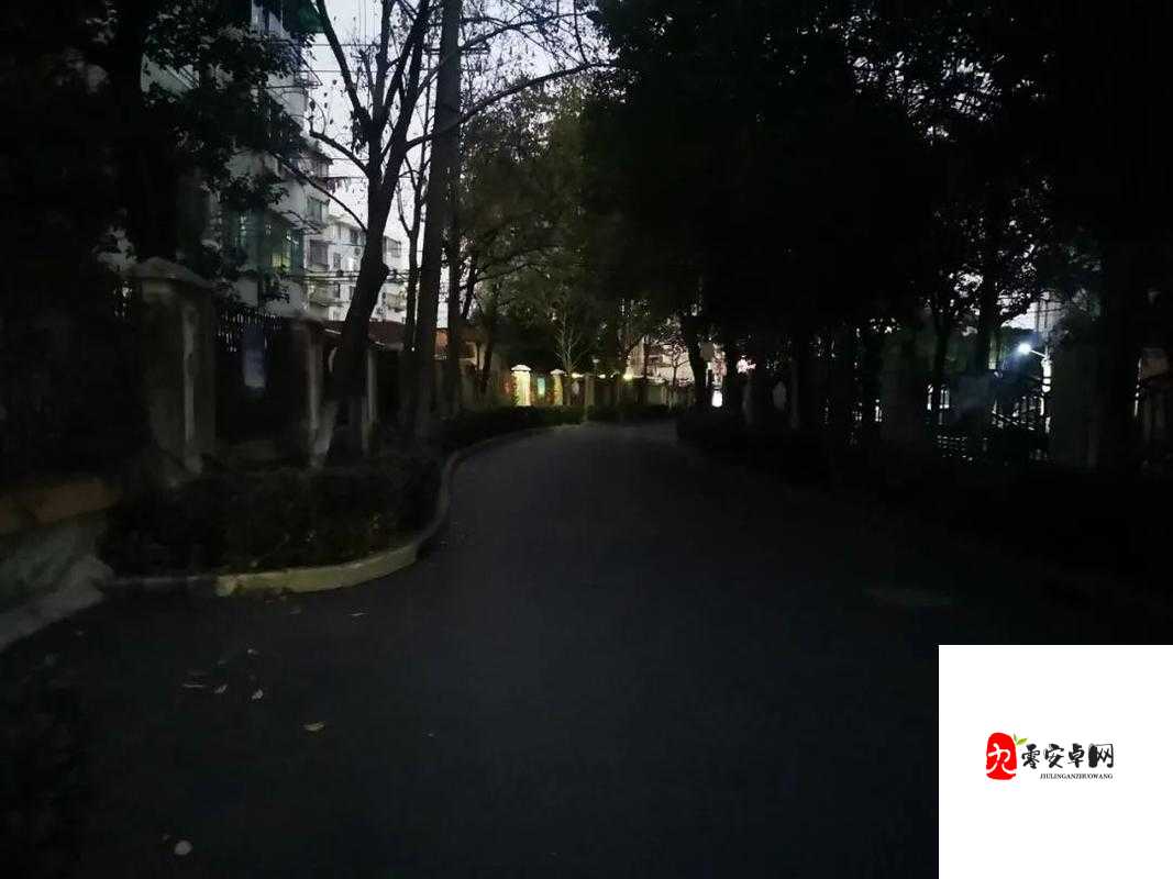 天黑了下面哪个最亮,在资源管理中的智慧之光