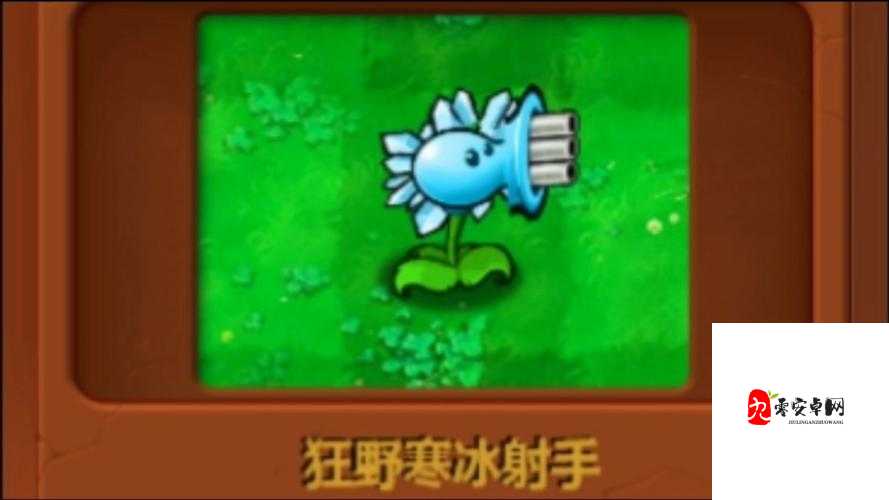 云顶之弈寒冰属性,射手之寒,掌控战场的冰雪女王