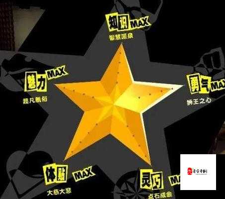 p5 提升五维最快的办法:全方位详细解析与实践策略