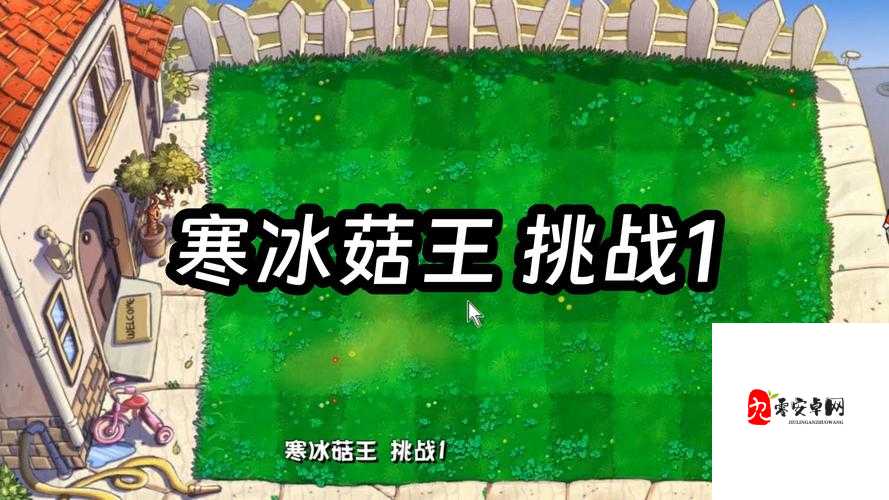 植物大战僵尸杂交版寒冰菇王怎么样:其强大实力与独特魅力解析