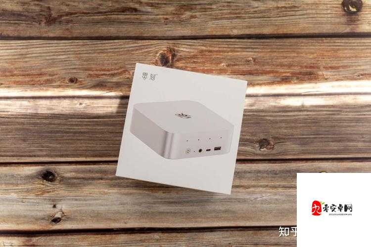 9X9X9X9X 任意槽 2024:这是一个独特的组合与表达