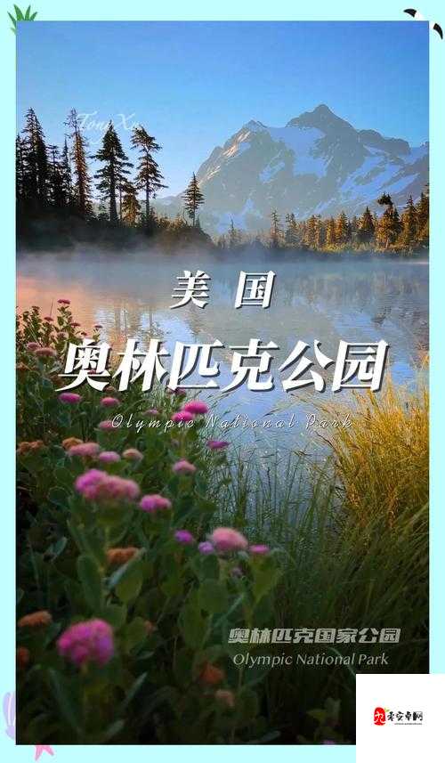探索美国自然宝藏:领略其独特魅力与神奇风光