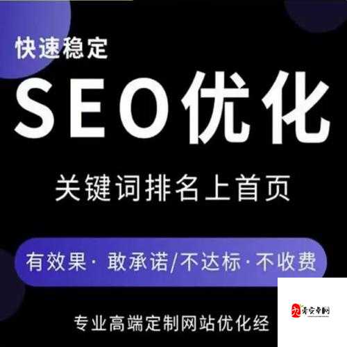 SEO 短视频网页入口网站推广系统迎来新升级：粉丝将享更多福利