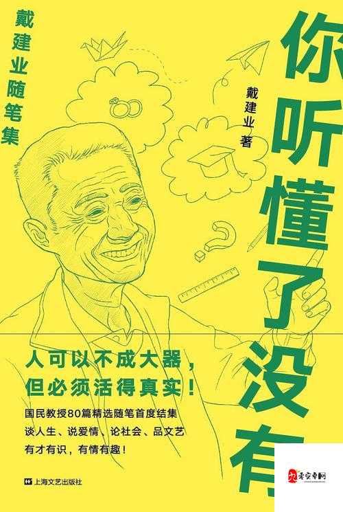 老师你听我解释啊第29关通关秘籍,智慧与幽默的碰撞