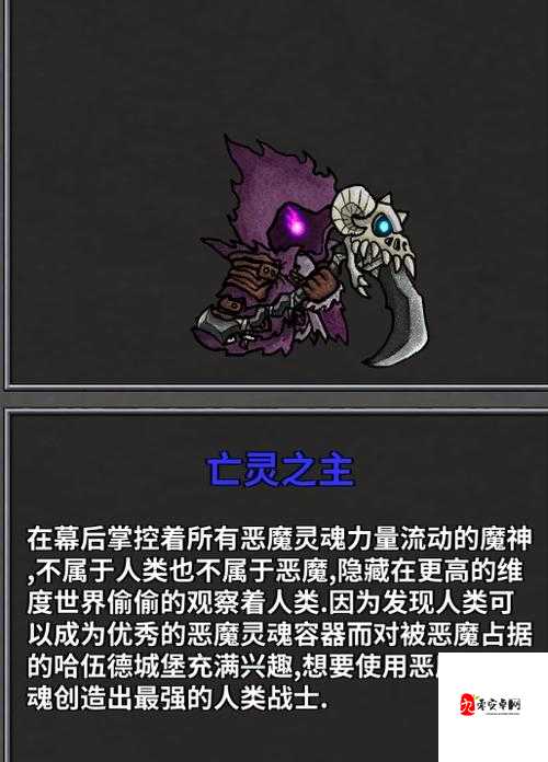失落城堡手游,亡灵之主打法攻略与资源管理