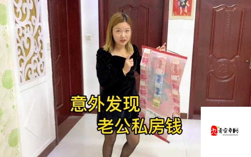 揭秘找到老婆的私房钱3第二十七关,智慧与策略的较量