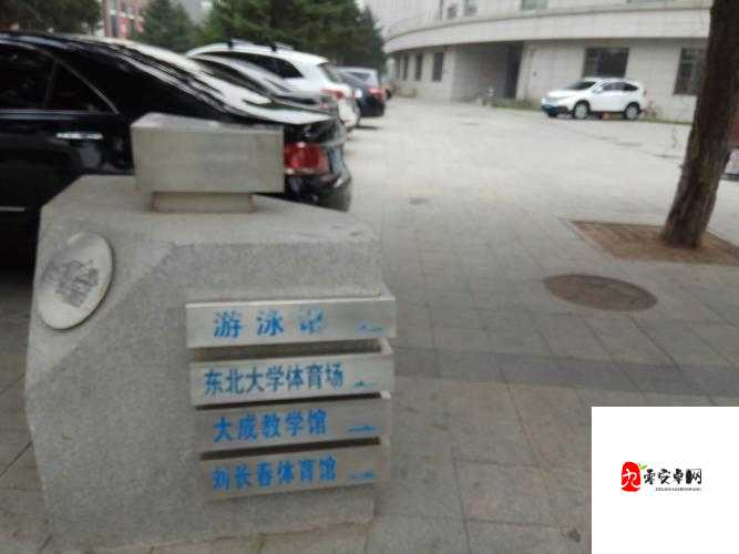 东北体育院乱肉汁 Gay:一场关于体育与性的争议