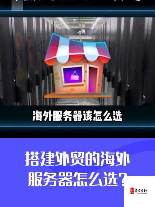 免费海外网站服务器:为何受到部分人的青睐与追捧