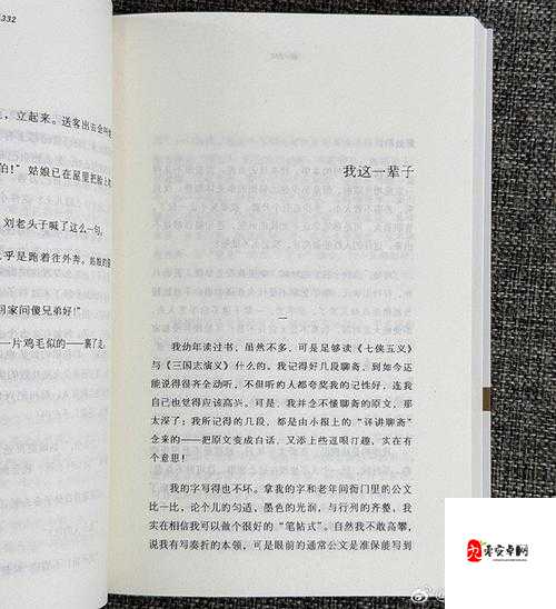 国产 18 页:一部引人深思的经典之作