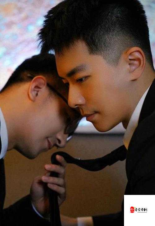 男男 GayGayGay 多毛中国:探索独特的同性情感世界