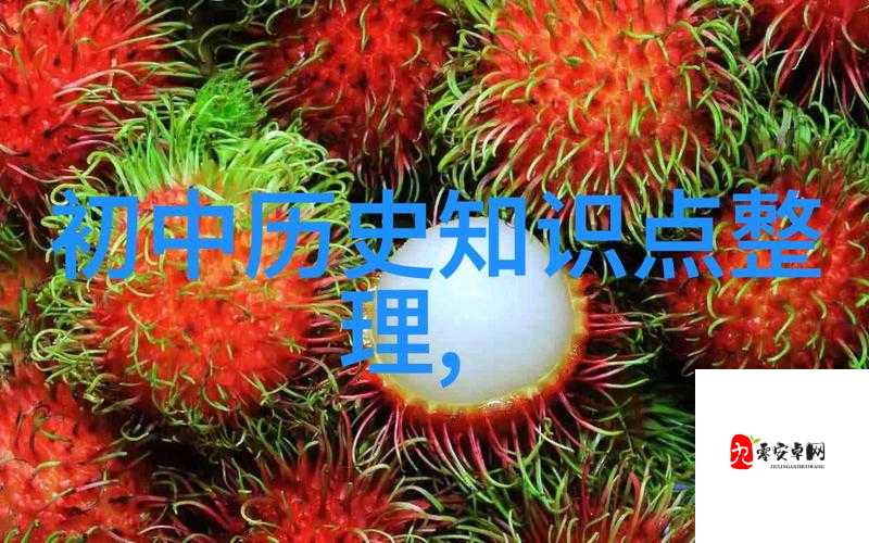 人文艺术之美:探寻其深刻内涵与独特魅力