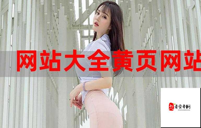 黄页网站免费不要钱,信息全面查询神器