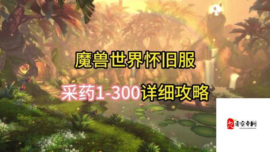 怀旧服采药150以后在哪学,资源管理、技巧提升与价值最大化