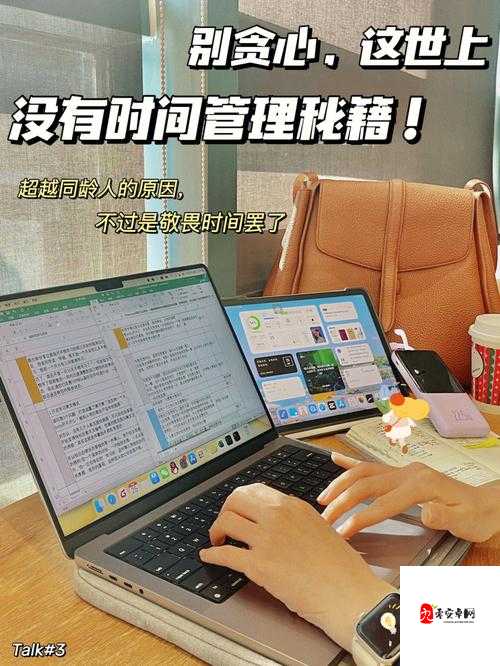 花与剑怎么进行摆摊,资源管理、高效利用与避免浪费的全面解析