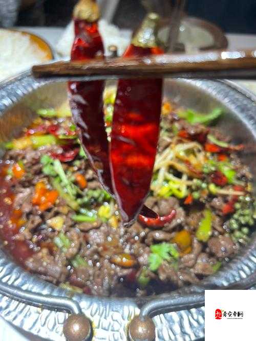 火辣辣福 Welcome 内江市:探寻这座城市的独特魅力与风情