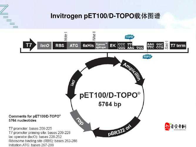 伊洛纳废石料哪里多在资源管理中的重要性及高效利用策略