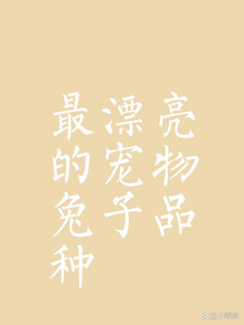 伊洛纳兔子尾巴在哪里刷，资源管理、高效利用与避免浪费