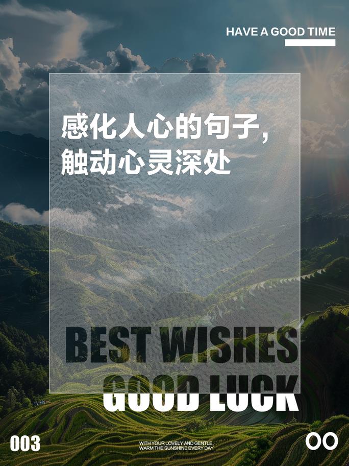 是什么挡住了我的脚步,探寻那首触动心灵的歌