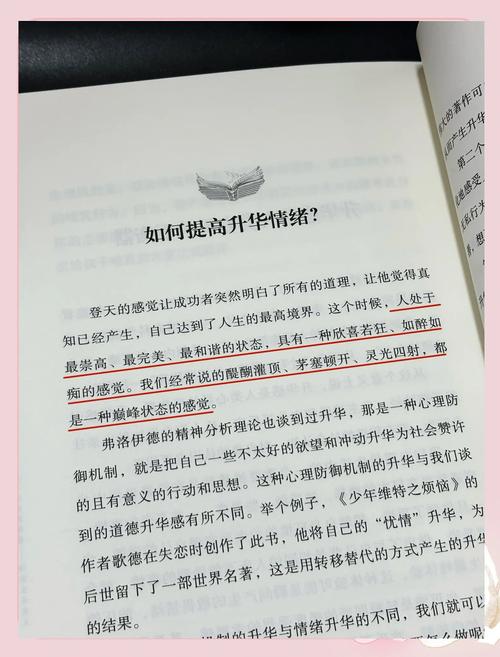 第二十三小莹的放纵欲视频曝光:深度解析其背后的情感与心理动因